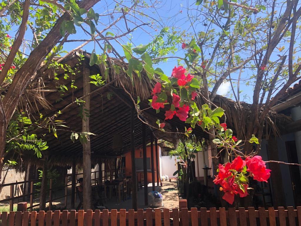 جيجوكا دي جيريكواكوارا Tirol Da Carol Beach Hostel المظهر الخارجي الصورة